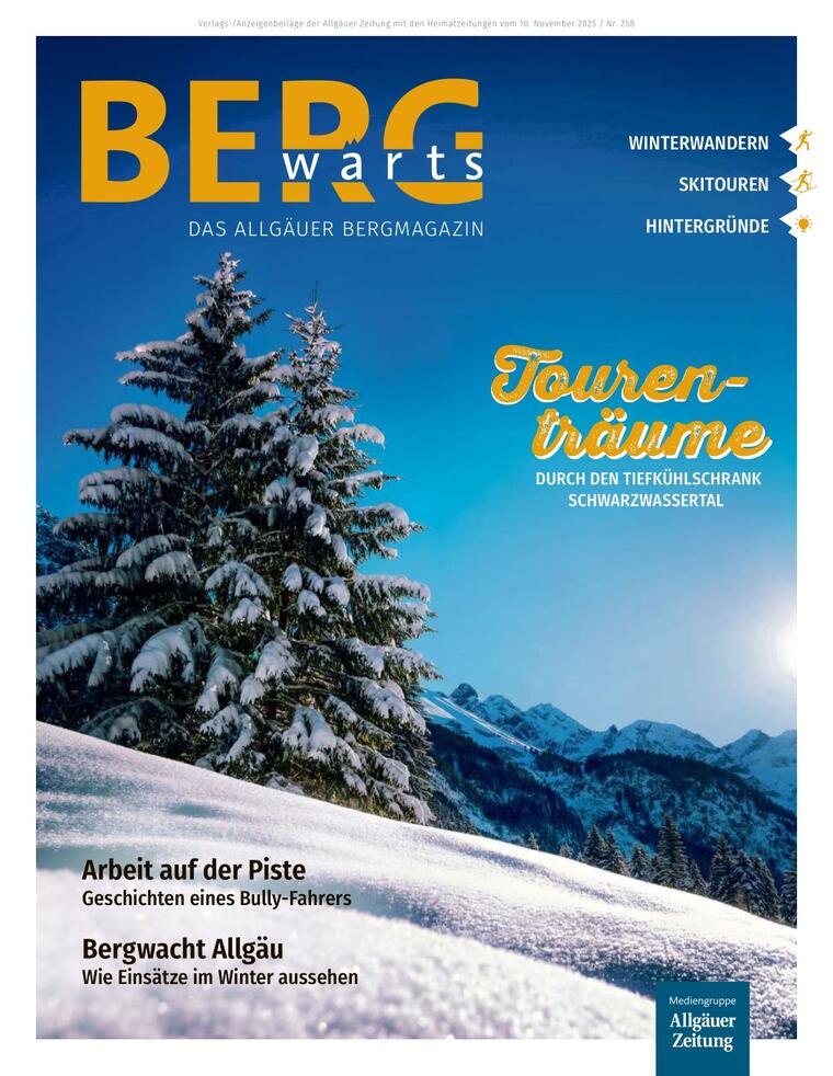 Verlagsveröffentlichung